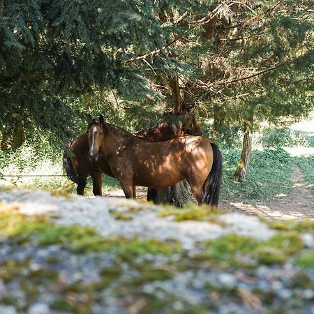 Hotel La Mouline Labastide-du-Vert Zewnętrze zdjęcie
