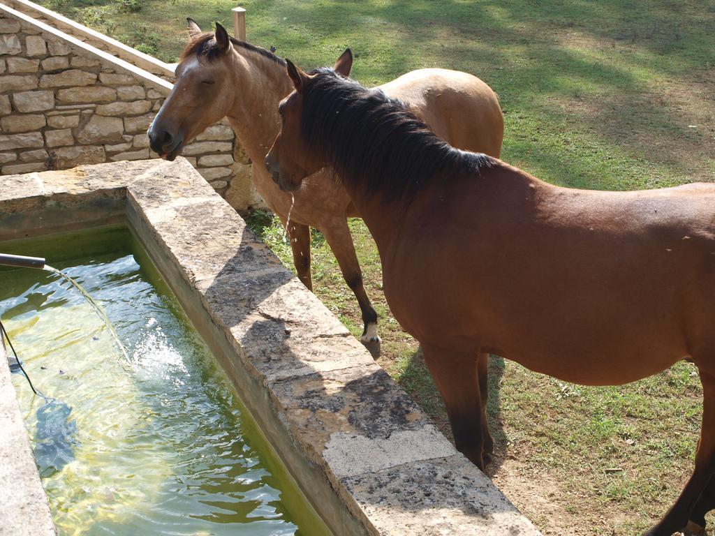 Hotel La Mouline Labastide-du-Vert Zewnętrze zdjęcie